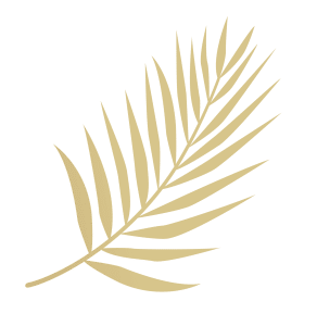 Favicon Tropicana